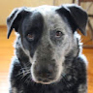 Meet your Posher, Jan